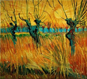 Salici al tramonto da Vincent van Gogh
