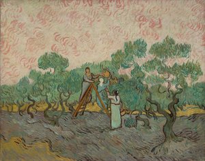 Donne che raccolgono olive, 1889