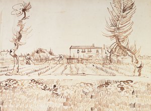 Lavorare nei campi ad Arles, 1888 da Vincent van Gogh