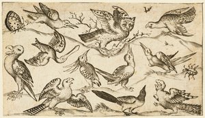 Undici uccelli e due insetti su terreno minimale con gufo con ali spiegate..., 1572 da Virgil Solis