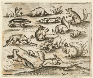 Gruppo di piccoli animali del bosco che mangiano e corrono intorno a uno stagno, incluso un topo da Virgil Solis