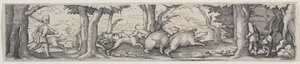 Caccia al Cinghiale