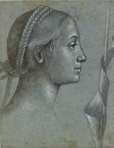Testa di Donna con un Pennone avvolto attorno a un Palo, fine 15° secolo da Vittore Carpaccio