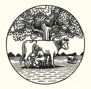 Illustrazione per Tess dei d