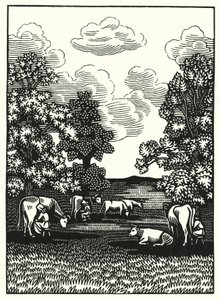 Illustrazione per Tess dei d