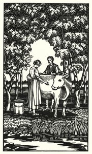 Illustrazione per Tess dei d