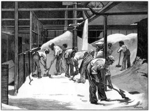 Produzione di zucchero alla raffineria di Counterslip, Bristol, 1873