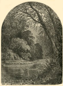 Isole di muschio, nel Juniata, 1874 da W.H. Morse
