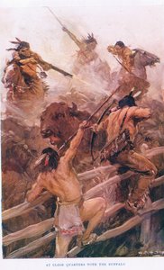 A distanza ravvicinata con il bufalo, illustrazione da 