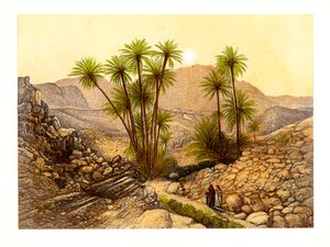 Il Deserto del Sinai, Egitto, c1870