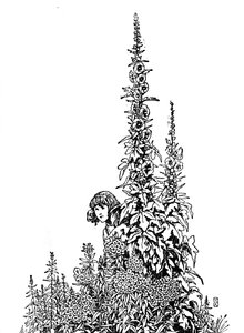 Gerda conosceva ogni fiore del giardino, c1930 da William Heath Robinson