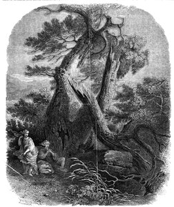 Specimen di incisione su legno, La morte dei figli di Niobe da W. J. Linton