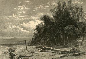 La riva a Lake Forest da W. J. Linton