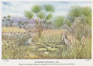 Un paesaggio dell