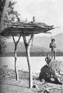 Piattaforma mortuaria in Nuova Guinea, 1902 da W. Lindt