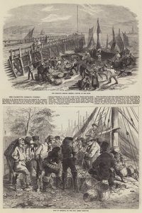 La pesca delle aringhe a Yarmouth da W. R. Woods
