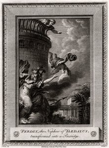 Perdix, il nipote di Dedalo, trasformato in una pernice da W. Walker