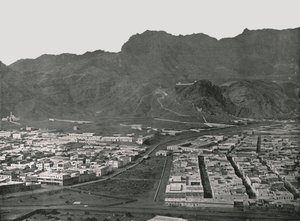 Veduta generale del mercato dei cammelli, Aden da W and S Ltd