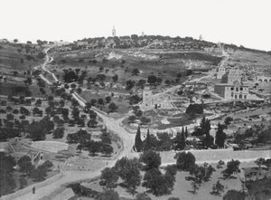 Monte degli Ulivi, Gerusalemme, Palestina da W and S Ltd
