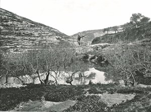 La Piscina di Siloam, Gerusalemme, Palestina, 1895 da W and S Ltd