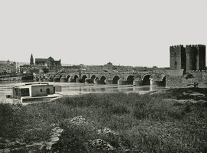 Il ponte romano, Cordoba, Spagna da W and S Ltd
