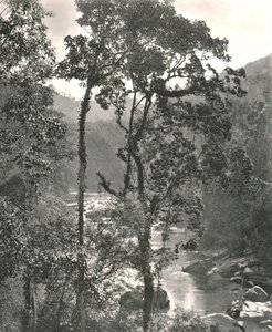 Veduta del fiume Kelani, Kurunegala, Ceylon da W and S Ltd