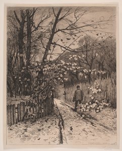 Novembre da Waldemar Bøhme