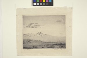 Deserto del Mojave da Wallace Leroy DeWolf