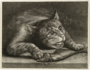 Gatto con un pesce da Wallerant Vaillant