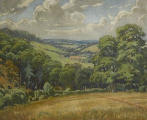 Scena del Devon, vicino a Widdecombe Moor, c.1949 da Walter Ashworth