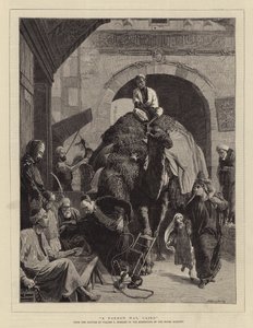 Un vicolo stretto, Il Cairo