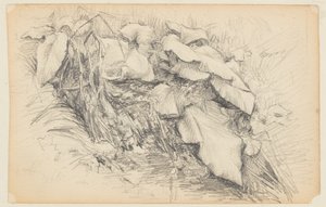 Studio di Erba e Piante da Walter Clark