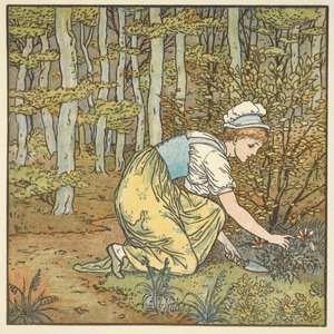 Illustrazione a colori per 