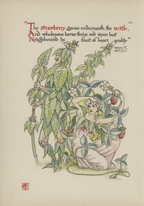 Fiori dal giardino di Shakespeare