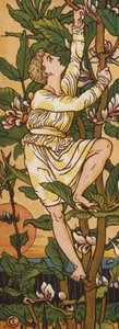 Jack e il fagiolo magico (litografia a colori) da Walter Crane