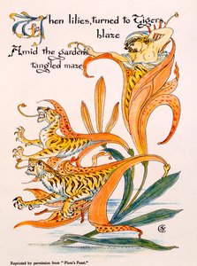 Gigli tigrati, illustrazione da 