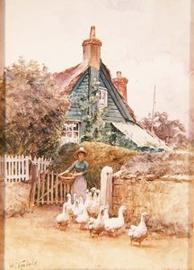 Brading, Isola di Wight
