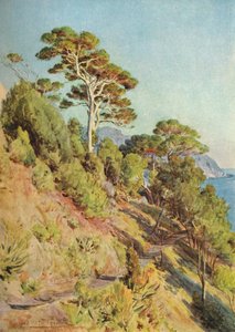 Nella Villa Piuma, Sestri Levante, c. 1910, 1912