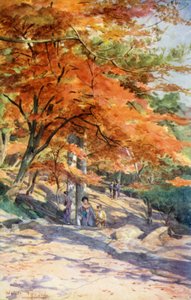 Aceri a Omori, vicino a Tokyo da Walter Frederick Roofe Tyndale