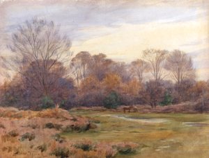 Sulla Christchurch Road da Walter Frederick Roofe Tyndale