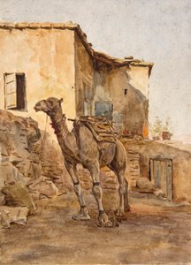 Cammello legato da Walter Frederick Roofe Tyndale