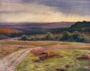 La Nuova Foresta: Passeggiata di Boldrewood, Puck Pitts, dalla strada di Fritham da Walter Frederick Roofe Tyndale