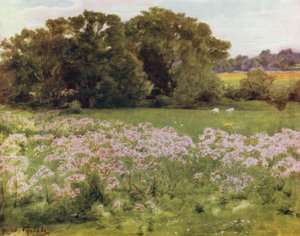 La Nuova Foresta: Riversdale, Boldre da Walter Frederick Roofe Tyndale