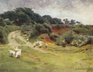 La Nuova Foresta: Royden Common, vicino a Brokenhurst da Walter Frederick Roofe Tyndale
