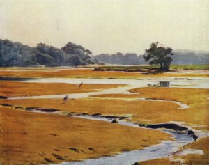 La Nuova Foresta: Il fiume Beaulieu