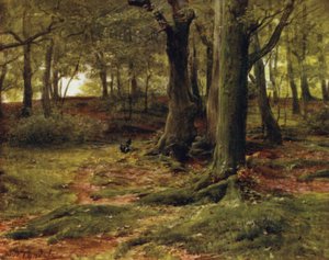La Nuova Foresta: The Hill Woods, Lyndhurst da Walter Frederick Roofe Tyndale