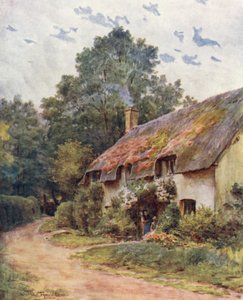 Wessex: Un tipico cottage di Wessex da Walter Frederick Roofe Tyndale