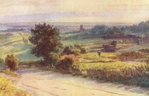 Wessex: Blackmore Vale da Shaftesbury