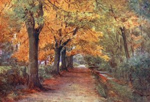 Wessex: Bockhampton Bank, vicino a Dorchester da Walter Frederick Roofe Tyndale