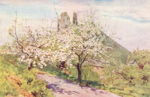 Wessex: Primavera in Wessex